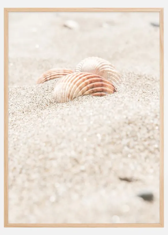 Seashell beach Poster (21x29.7 cm (A4))
