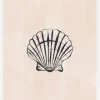Seashell Canvastavla (30x40 cm)