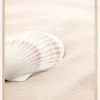 Shell Poster (21x29.7 cm (A4))