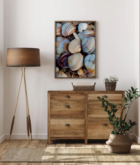 Shells Poster (21x29.7 cm (A4))