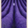 SHE Poster (21x29.7 cm (A4))