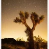 Shooting Stars Canvastavla (30x40 cm)