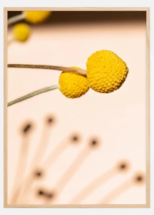 Small Yellow Flowers Poster (21x29.7 cm (A4))