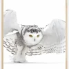 Snowy OwlJazz Wings Poster (21x29.7 cm (A4))