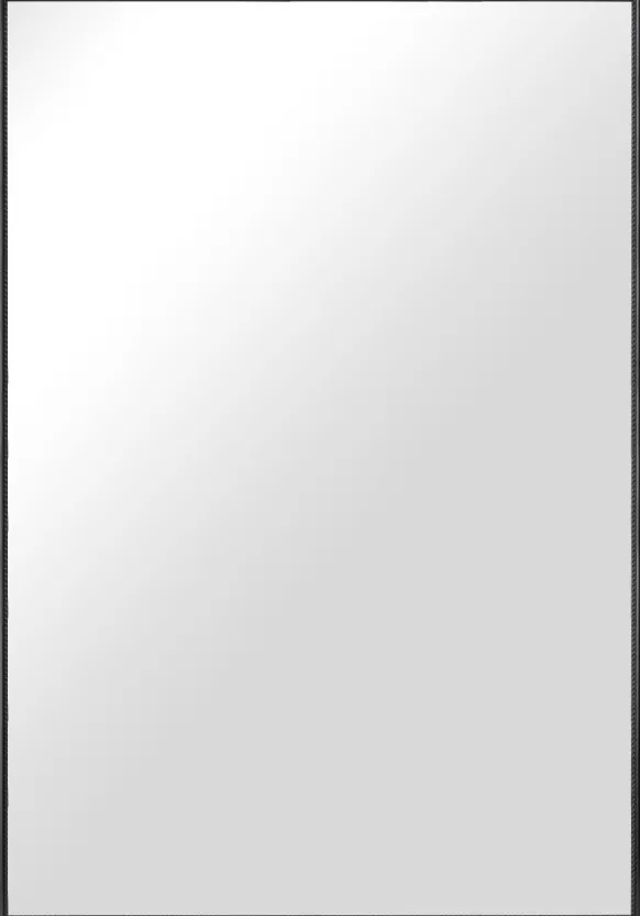 Spegel Abisko Svart 74x104 cm