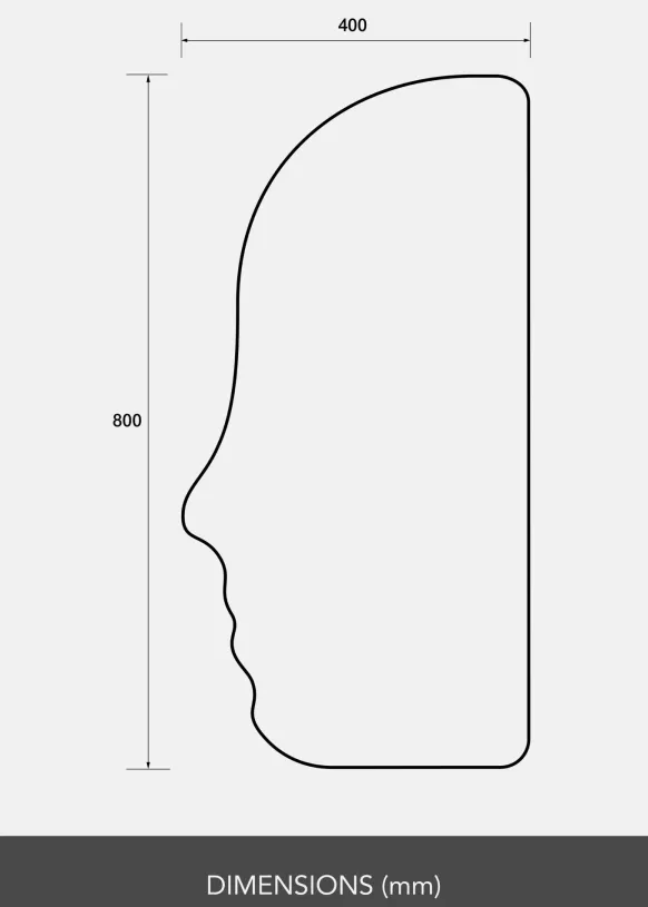 Spegel Face 40x80 cm