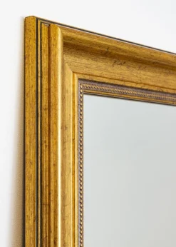 Spegel Rokoko Guld 62x168 cm