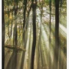 Sunny Start To The Day Canvastavla (30x40 cm)