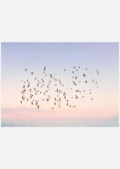 Sunset Flight Canvastavla (30x40 cm)