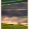 Sunset in Palouse Poster (21x29.7 cm (A4))