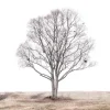 The lonely tree Poster (21x29.7 cm (A4))
