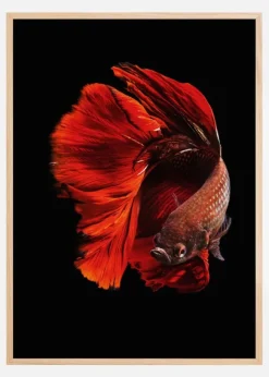The Red Poster (21x29.7 cm (A4))