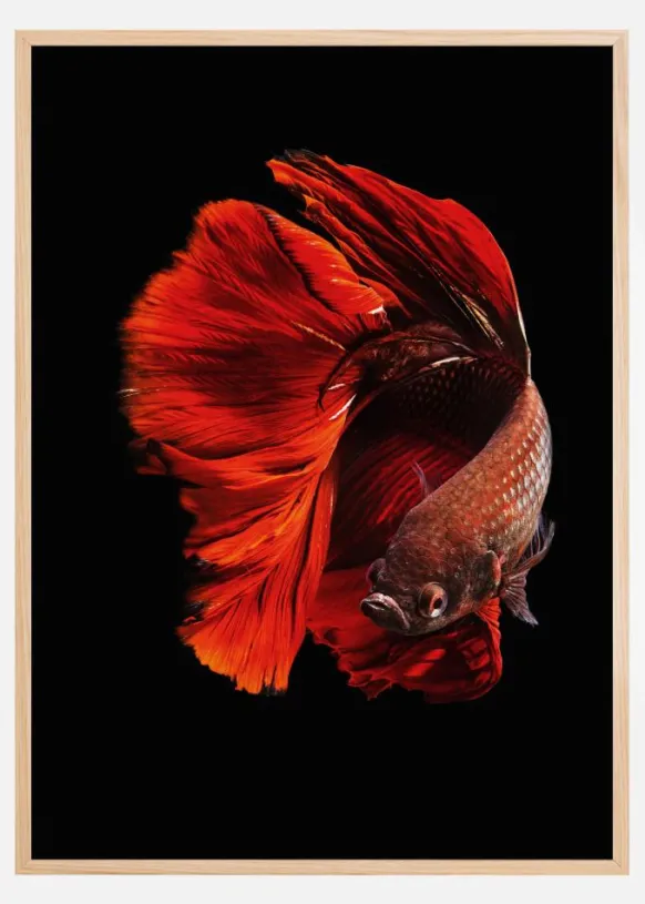 The Red Poster (21x29.7 cm (A4))