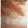 The Wonders Of Nature Canvastavla (30x40 cm)