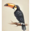 Tropical Toucan Poster (21x29.7 cm (A4))