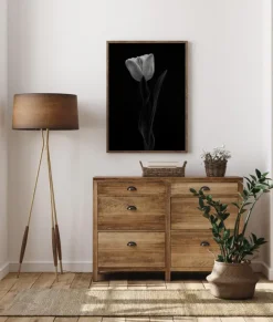 Tulip Poster (21x29.7 cm (A4))