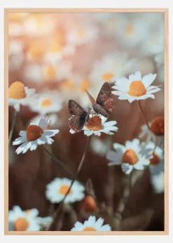 Two Butterflies Poster (21x29.7 cm (A4))