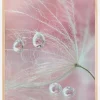 Two of us Poster (21x29.7 cm (A4))