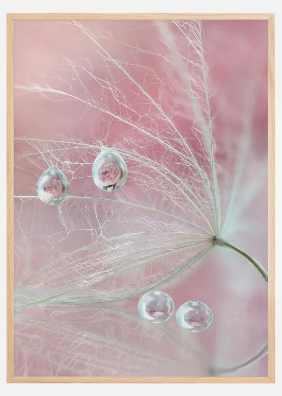 Two of us Poster (21x29.7 cm (A4))