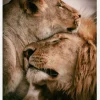 What Is Love Canvastavla (30x40 cm)
