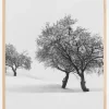 White carpet II Poster (21x29.7 cm (A4))