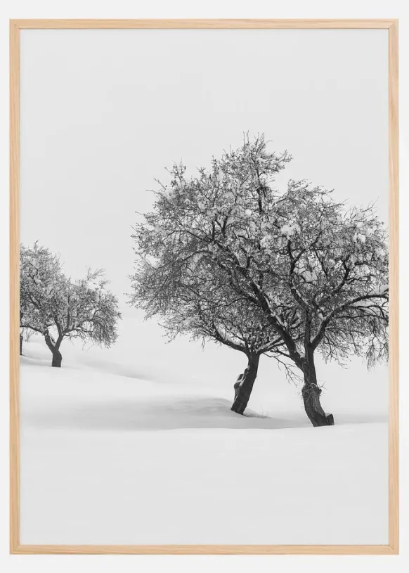 White carpet II Poster (21x29.7 cm (A4))