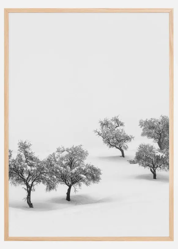 White Carpet Poster (21x29.7 cm (A4))