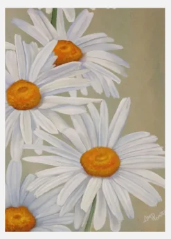 White Daisies Canvastavla (30x40 cm)