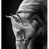 White Stallion Canvastavla (30x40 cm)
