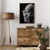 White Stallion Poster (21x29.7 cm (A4))