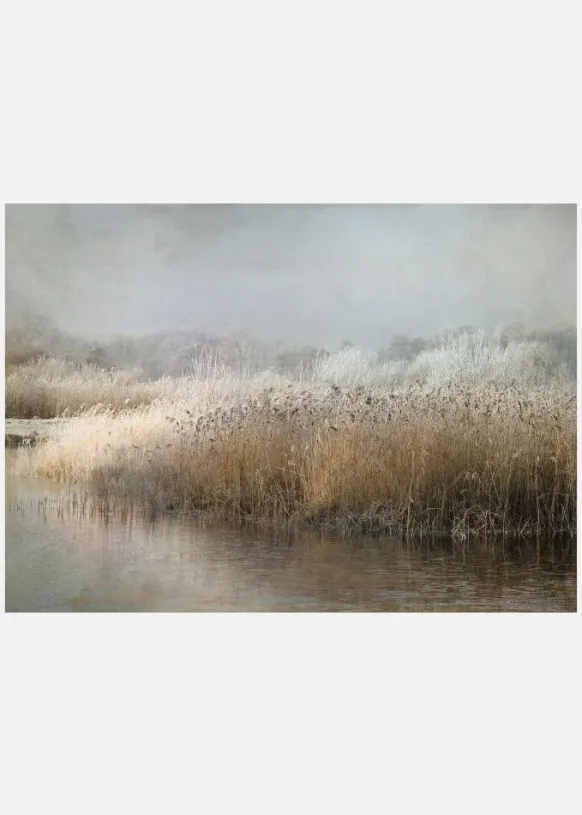 Wintermorning Canvastavla (30x40 cm)