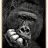 YOU Poster (21x29.7 cm (A4))