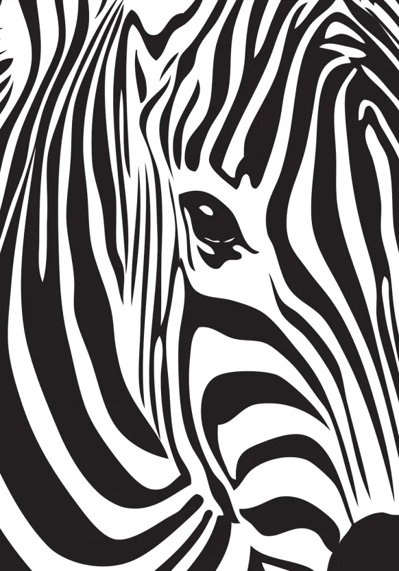 Zebra Poster (21x29.7 cm (A4))