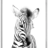 Zebra Watercolor Poster (21x29.7 cm (A4))