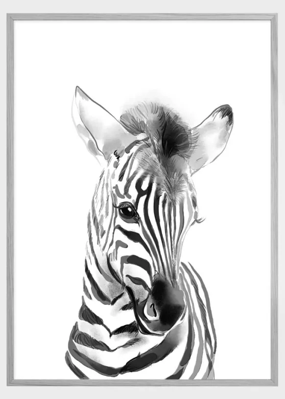 Zebra Watercolor Poster (21x29.7 cm (A4))